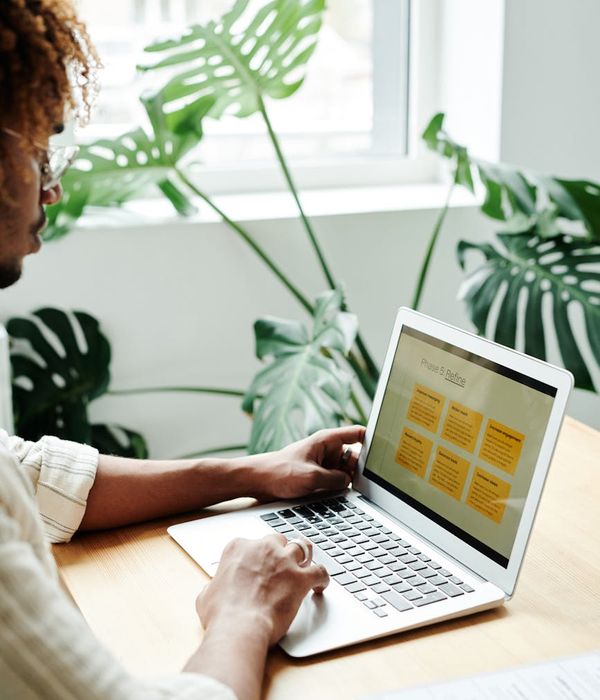 Person working calmly at a modern desk with a plant.